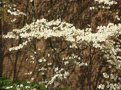 april2609 (61)